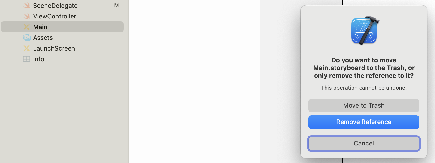 Delete main storyboard